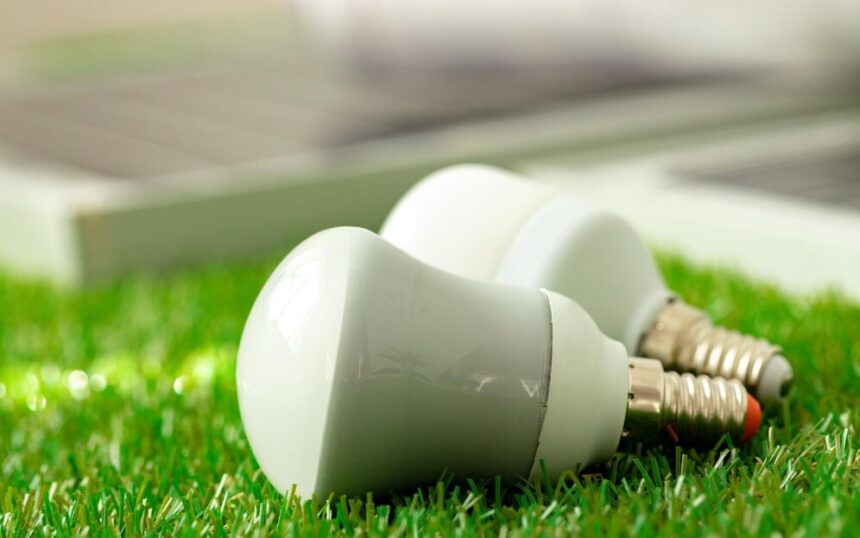 energy-efficient-light-bulb-lying-grass_93675-135282 energy-efficient-light-bulb-lying-grass_93675-135282